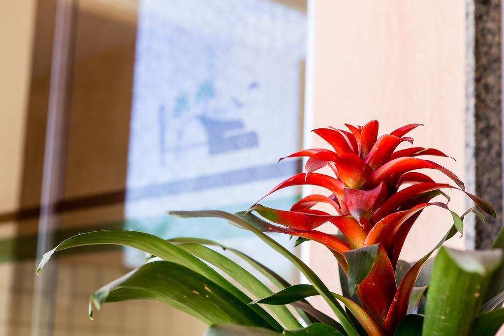 Inn Sossego Da Pampulha 4*